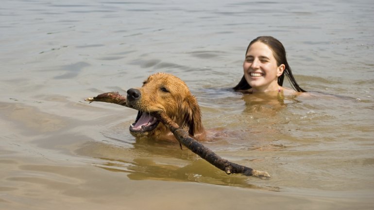 Ein Mädchen und ein Hund schwimmen in einem See.