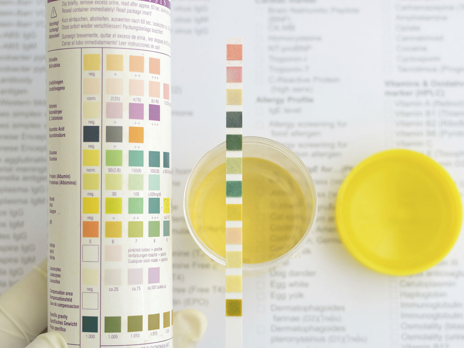 Hypothek Arm Netz leukos zählen berechnung