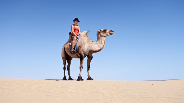 Man sieht eine Touristin auf einem Kamel.