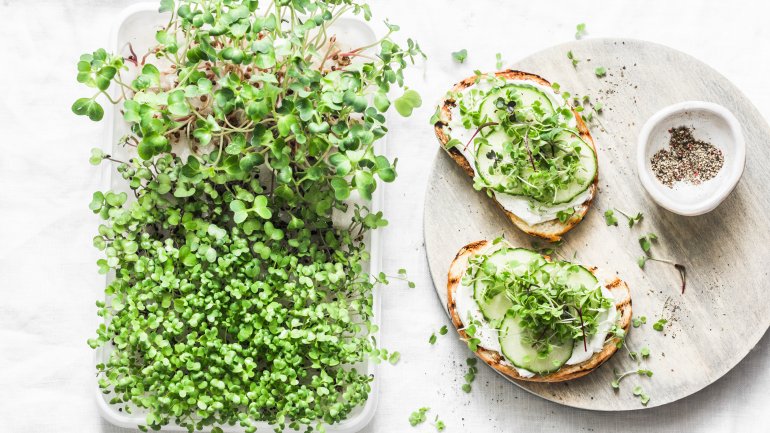Eine Schale mit Microgreens steht neben einem Teller mit Broten, die mit dem Grünzeug garniert sind