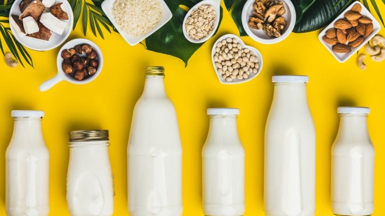 Milchalternativen: Pflanzendrinks für den täglichen Proteinbedarf