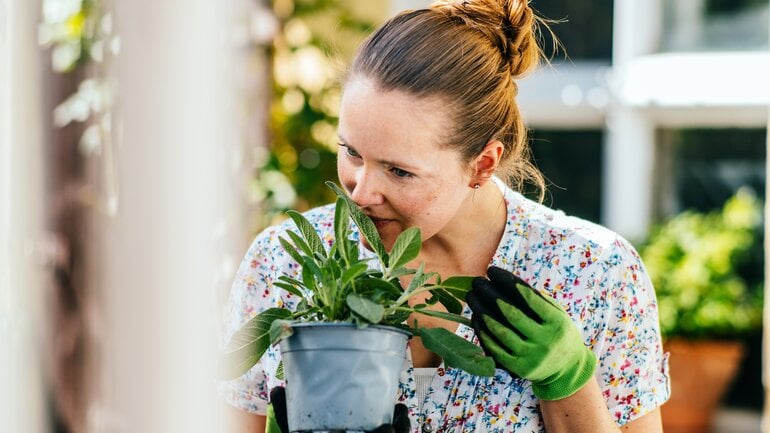 Eingeschränkter Geruchs- und Geschmackssinn: Symptom bei Nasenpolypen