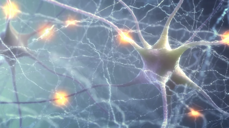 Man sieht ein darstellung von Neuronen.