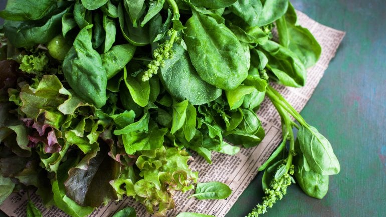 Purinarm ernähren: Blattsalat eignet sich