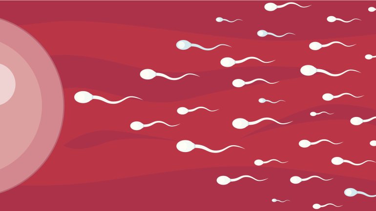 Man eine Illustration von Spermien auf dem Weg zur Eizelle.