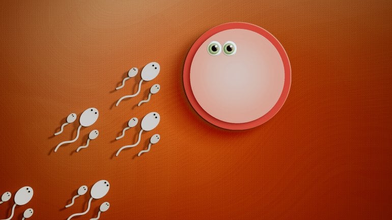 Man sieht Spermien, die auf eine Eizelle zuschwimmen (Papier-Kunst)