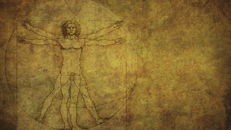 Man sieht eine vitruvianische Figur in der Darstellung von Leonardo da Vinci.