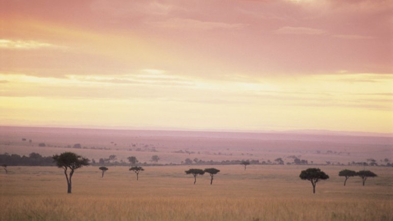  Masai Mara National Park in Kenia , Afrika