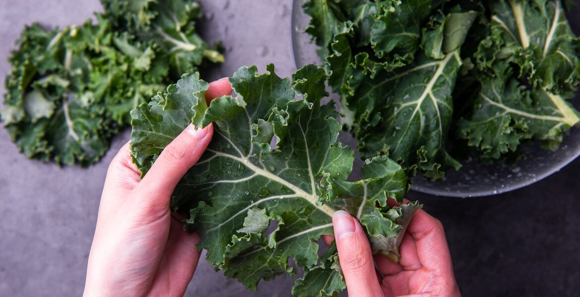 Grünkohl: Neben anderem Blatt- und Kohlgemüse und Natto (fermentierten Sojabohnen) sehr vitamin-k-reiches Lebensmittel und kritisch bei Blutverdünnung.