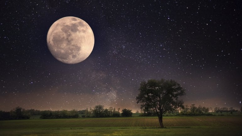 Das Bild zeigt den Mond im Nachthimmel.